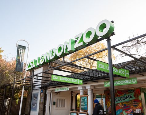 The world’s oldest scientific zoo, in London’s Regent’s Park, contains more than 650 species, including lions, tigers, gorillas and sloths. See our website for more bucket list ideas & top attractions in London. #zoos #londonzoo #bestzoos #london #londontravel #thingstodoinlondon #thingstodoinlondonwithkids #londonattractions #bucketlistideas #bucketlisttravel #bucketlist London What To See, Zoo Book, London With Kids, London Bucket List, Zoological Garden, Chester Zoo, London Attractions, Regents Park, London Zoo