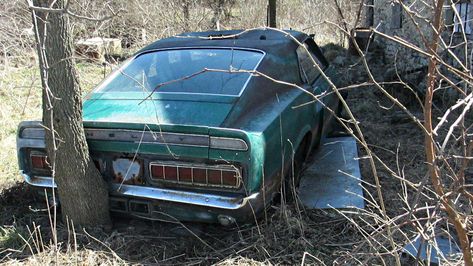 Behind The Barn: 1969 Ford Mustang Shelby GT350 #MuscleCars #Ford, #Mustang, #Shelby - https://barnfinds.com/field-find-1969-ford-mustang-shelby-gt350/ Aesthetic Cars Wallpaper, Best Sports Cars, Barn Finds Classic Cars, Ford Mustang Shelby Gt350, Junkyard Cars, Barn Find Cars, Ford Mustang Shelby Cobra, Ford Mustang Shelby Gt, Aesthetic Cars