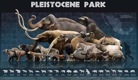 Pleistocene Park Kat Dennings, Cenozoic Era, Prehistoric Wildlife, Prehistoric World, Ancient Animals, Paleo Art, Extinct Animals, Prehistoric Creatures, Prehistoric Animals