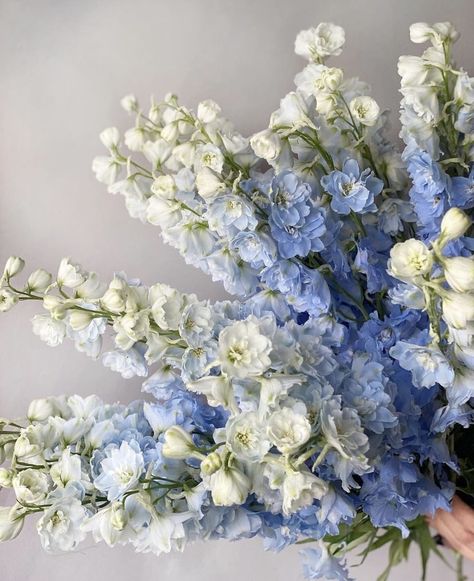 Iris Wedding Flowers, Delphinium Bouquet, Iris Wedding, Periwinkle Flowers, Delphinium Flowers, Blue Delphinium, Boquette Flowers, Light Blue Flowers, Nothing But Flowers