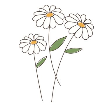 flower drawing,flower sketch,white flower,line art,flowers,flower,line,abstract,floral,flower line art,art,daisies,line art flower,leaf line art,abstract line art,flower line,plant,leaf,aesthetic,flat illustration,line art drawing,line drawing,aesthetic line art,floral line art,drawing,simple illustrations,flower abstract line,black and white,line draft Daisy Flower Drawing Simple, Daisy Drawing Simple, Simple Plant Drawing, Daisy Drawings, Abstract Line Art Flower, Daisy Vector, Daisy Flower Drawing, White Flower Png, Leaf Aesthetic