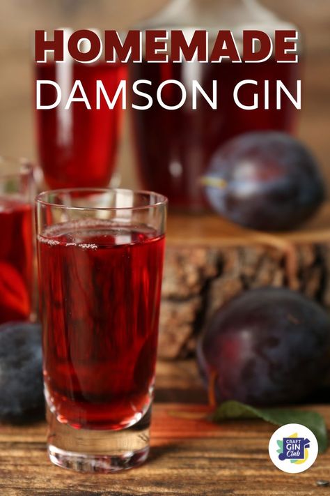 Homemade plum gin in a glass Damson Gin Recipe, Homemade Gin, Gin Recipe, Gin Recipes, Gin Tasting, Sloe Gin, Coffee Filter Paper, Gin Cocktail Recipes, Craft Gin