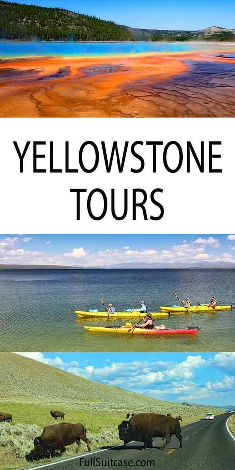 11 Absolute Best Yellowstone Tours for 2021-2022 (+ Info & Tips) Yellowstone Winter, Yellowstone National Park Vacation, Wyoming Vacation, Yellowstone Vacation, Yellowstone Trip, Visit Yellowstone, West Yellowstone, National Park Photos, National Park Vacation