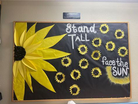 Barnyard Classroom, Sunflower Bulletin Board, September Bulletin Boards, Bee Classroom Decor, Disney Themed Classroom, Intervention Classroom, Christian Bulletin Boards, Summer Bulletin Boards, Bulletin Boards Classroom Decor