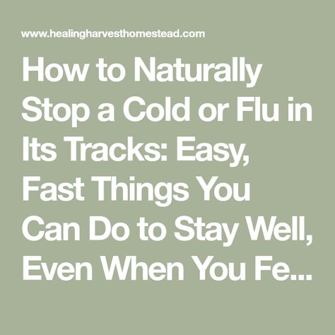 When You Feel A Cold Coming On, Feeling A Cold Coming On, Stop A Cold In Its Tracks, How To Stop A Cold In Its Tracks, Stop A Cold, Improve Energy Levels, Adaptogenic Herbs, Relaxing Tea, Cold Prevention