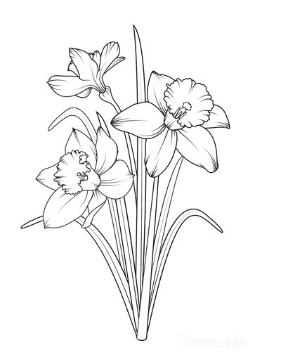 Spring Coloring Pages Daffodils Frühling Wallpaper, Daffodil Tattoo, Narcissus Flower, Flower Drawing Tutorials, Výtvarné Reference, Spring Coloring Pages, Birth Flower Tattoos, Flower Art Drawing, Flower Sketches