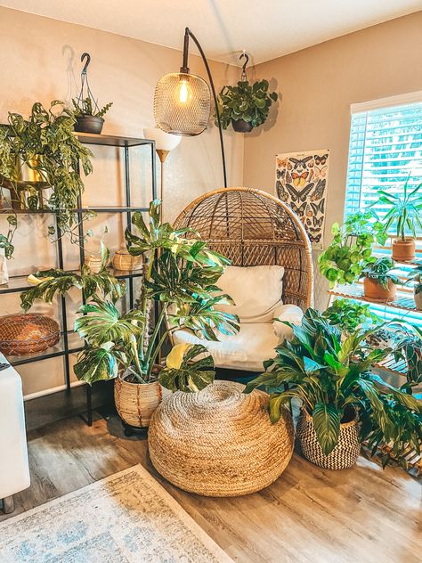 Plants, decor, boho, interior decorating, indoor plants, egg chair Plant Corner With Chair, Plant Corner Ideas Bedroom, Library And Plant Room, Indoor Jungle Room House Plants, Plants Corner Bedroom, Cozy Plant Corner, Eclectic Reading Corner, Plant Zen Room, Plant Reading Corner