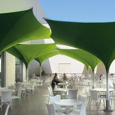 Tulip Umbrella - Type E /  MDT-TEX Membrane Structure, Genius Loci, Water Collection, Roof Structure, Shade Structure, Street Furniture, Shade Sail, Structure Design, Modern Landscaping