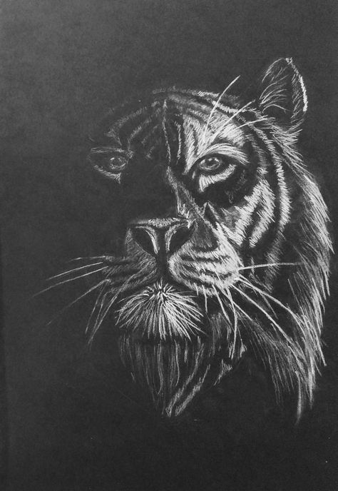 First try whth white chalk on black paper | Black paper drawing, Sky art painting, Chalk drawings White On Black Charcoal Drawing, Black And White Chalk Art, White Chalk Art On Black Paper, Chalk Art Black And White, White Color Pencil On Black Paper, White Chalk On Black Paper, Art On Grey Paper, White On Black Drawing Simple, Sketching On Black Paper