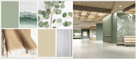 What is Biophilic Design in Commercial Healthcare Settings? Hospital Interior, Clinic Interior Design, Studio C, Hospital Design, Biophilic Design, Healthcare Design, Water Life, Block B, Design Principles