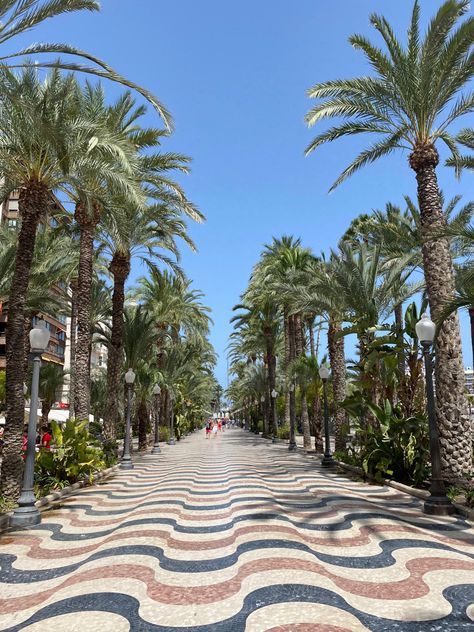 Promenade, Alicante, Spain, Aesthetic, Vibes Alicante Photo Ideas, Alicante Spain Aesthetic, Alicante Aesthetic, Spain Trip, Spain Aesthetic, Alicante Spain, Places In Europe, Aesthetic Travel, Aesthetic Vibes