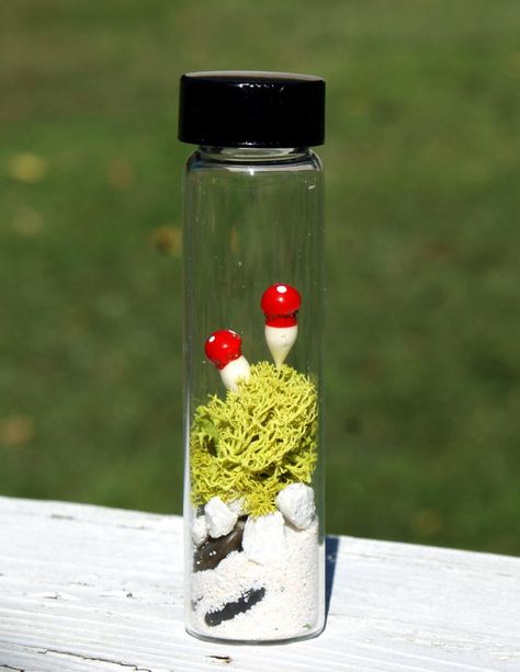 This easy no maintenance DIY terrarium is a snap to make and is terrific for DIY wedding favors or stocking stuffer gifts! Learn how to make your own DIY terrarium now by clicking through to the tutorial at Soap Deli News blog! Homemade Stocking Stuffers, White Gravel, Fabulous Diy, Terrarium Diy, Glass Vials, Rare Earth Magnets, Neodymium Magnets, Diy Wedding Favors, Stocking Stuffer Gifts