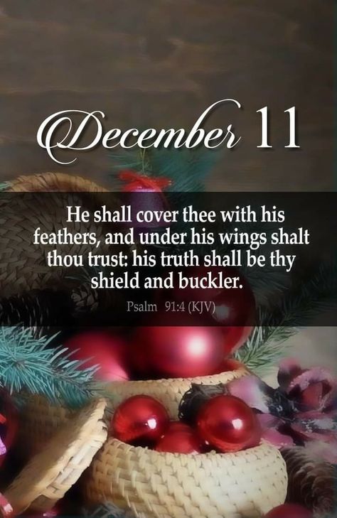 December Verses, December Blessings, Hello December Images, December Scriptures, Easter Scriptures, December Quotes, Christmas Scripture, Christmas Bible Verses, Christ Centered Christmas