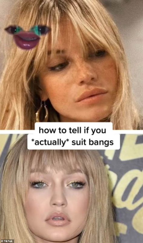 Hairstylists reveal equation to work out if bangs will be flattering Flattering Bangs Round Face, Face Shape Bangs Guide, Face Shapes For Bangs, Glasses For Oblong Face Shape Woman, How To Find Out Your Face Shape, How To Know If You Look Good With Bangs, Curtain Bangs Short Hair Heart Shaped Face, Types Of Bangs Chart Face Shapes, Bangs But Not Bangs