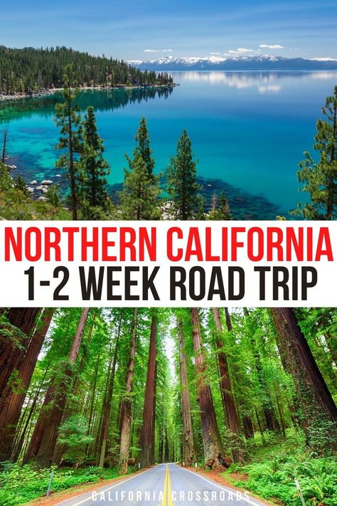 photo of Lake Tahoe landscape and photo of the trees surrounding the avenue of the giants on highway 101. text reads Northern California 1-2 week road trip California Itinerary, Road Trip Stops, Northern California Road Trip, Pacific Coast Road Trip, California Road Trip Itinerary, Northern California Coast, Volcanic Landscape, California Coast Road Trip, Burney Falls