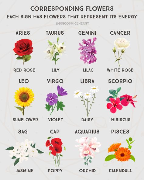 Flower For Virgo, Picies Zodiac Tattoo Flower, Flowers For Zodiac Signs, Horoscope Flowers Tattoo, Zodiac Flowers Birth Month, Zodiac Signs As Flowers, Zodiac Signs Flowers, Astrology Flowers, Zodiac Sign Flowers