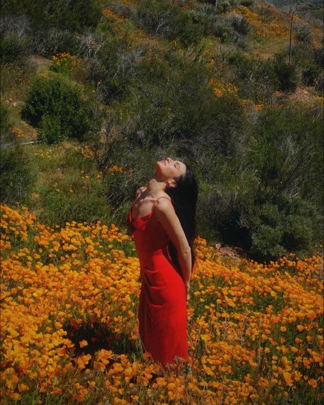 super bloom poppy fields california 
Red dress Nature, Malibu Photoshoot Ideas, Picture In Flower Field, Baddie Outdoor Photoshoot, Spring Flowers Photoshoot, Red Dress Photoshoot Ideas Outdoor, Poses For Outdoor Photoshoot Women, Field Photoshoot Black Women, Spring Field Photoshoot