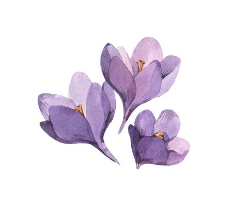 Purple Flowers, Crocus Flower, Flower Art Drawing, Flower Icons, Purple Themes, Purple Aesthetic, Flower Illustration, Fabric Painting, Flower Drawing