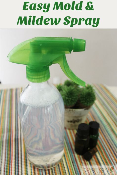 Mold And Mildew Remover, Mold Spray, Bathroom Green, Oregano Essential Oil, Mildew Remover, Cleaning Mold, Homemade Cleaning Products, Natural Cleaners, Mold Remover