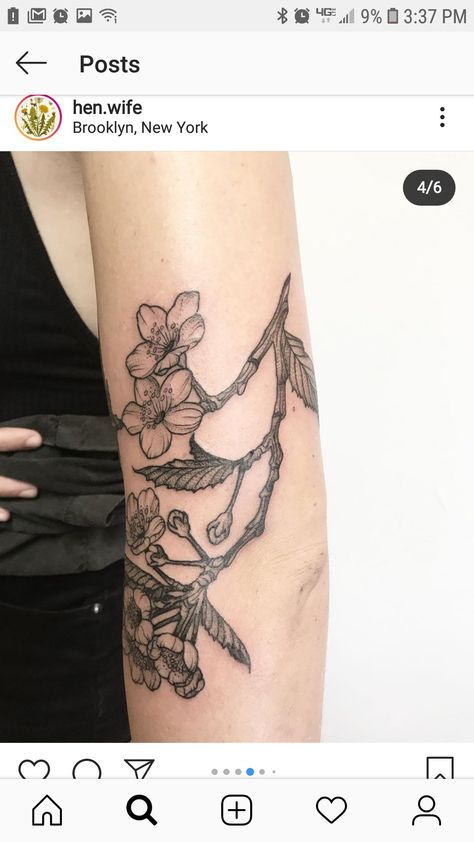 Crab Apple Blossom Tattoo, Crab Apple Tree Tattoo, Apple Branch Tattoo, Crab Apple Tattoo, Apple Blossom Tattoos, Apple Tree Flowers, Tree Branch Tattoo, Apple Tattoo, Branch Tattoo