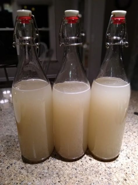 Coconut Tepache (Fermented Pineapple Drink with Baby Coconut Water) - Insane in the Brine Fermented Coconut Water, Pineapple Spears In Coconut Water, Pineapple In Coconut Water, Fermented Pineapple, Coconut Wine, Ways To Drink Coconut Water, Coconut Water Recipes, Organic Coconut Water, Pineapple Drink