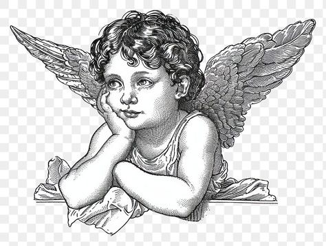 Cherub Sketch, Cherub Angel Drawing, Baby Angel Drawing, Cupid Sketch, Cherub Illustration, Angel Engraving, Cherub Drawing, Sketch Angel, Cupid Drawing