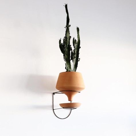 The Holistic Habitat Wall Mount Funnel Planter-Natural | Holistic Habitat Funnel Planter, Therapy Office Decor, Handmade Fair, Solve Problems, Plant Roots, Wall Planter, Terracotta Pots, Home Room Design, Hanging Planters