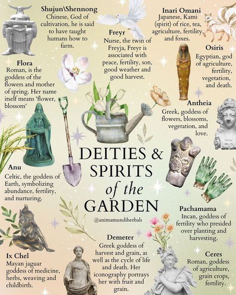 Witchy Alter, Witchy Garden, Tattoo Plant, Citation Art, Green Witchcraft, Witch Spirituality, Witch Garden, Magic Spell Book, Wiccan Spell Book