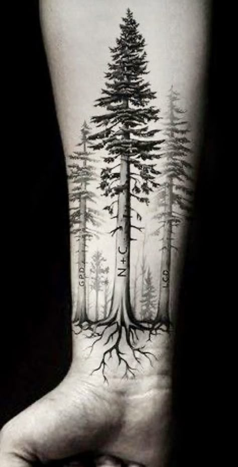 Forearm Pine Tree Tattoo, Tree Eye Tattoo, Ponderosa Pine Tattoo, Nordic Tree Of Life, Forest Tattoo Ideas, Redwood Tattoo, Forest Forearm Tattoo, Forest Tattoo Sleeve, Tree Roots Tattoo