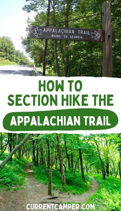 Section Hike Appalachian Trail, Appalachian Trail Section Hikes, Backpacking Appalachian Trail, Section Hiking The Appalachian Trail, Appalachian Trail Thru Hike, Hiking Appalachian Trail, Nashville Hiking, Appalachian Trail Georgia, Hiking Goals