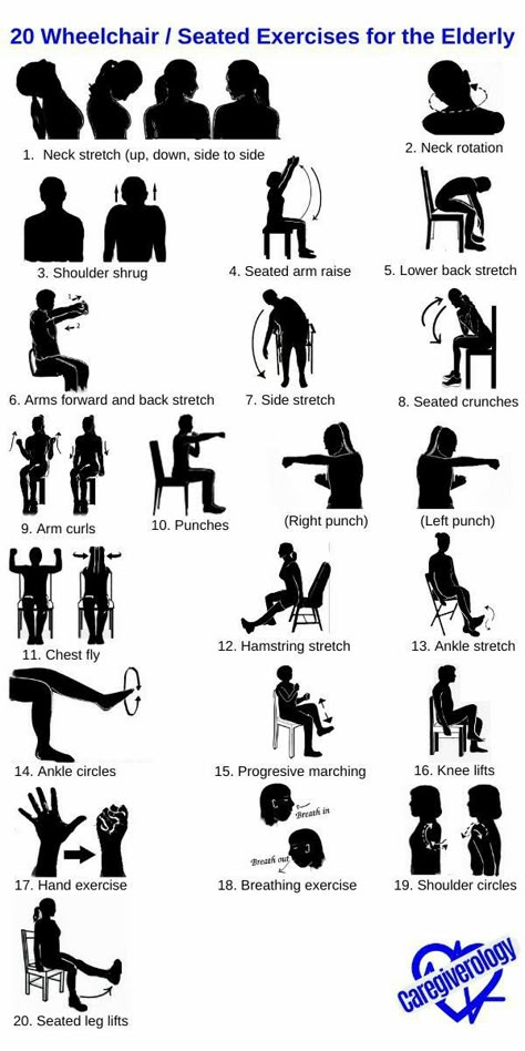 Elderly Chair Exercises, Wheelchair Stretches, Wheelchair Activities For Seniors, Disabled Workout, Senior Citizen Exercises, Exercises For Elderly Senior Fitness, Geriatric Physical Therapy Exercises, Sitting Exercises For Seniors, Senior Yoga Chair Exercises