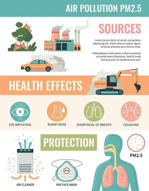 Air Pollution Infographic, Environmental Pollution Poster, Pollution Activities Worksheets, Air Pollution Facts, Air Pollution Project, Effects Of Water Pollution, Causes Of Air Pollution, Pollution Activities, Pollution Prevention