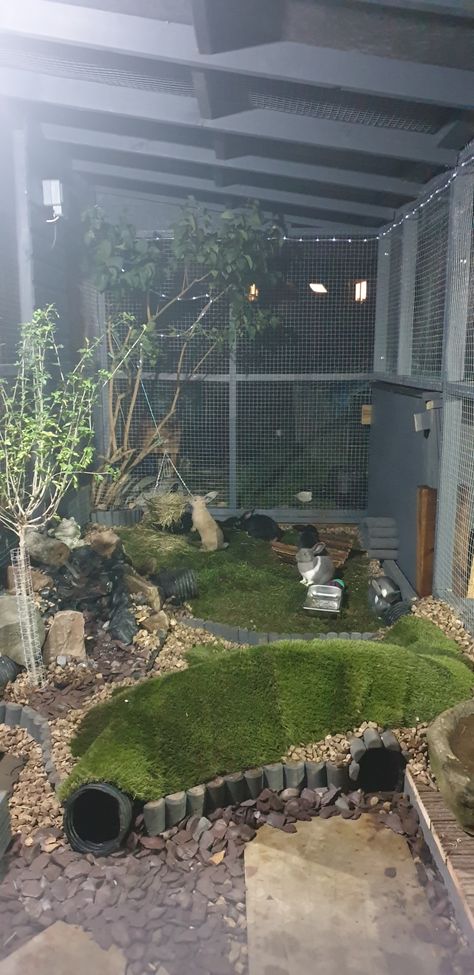 Rabbit Enclosures, Outdoor Rabbit Run, Bunny Sheds, Rabbit Playground, Bunny Enclosure, Rabbit Cages Outdoor, Indoor Rabbit House, Rabbit Shed, Guinea Pig Run