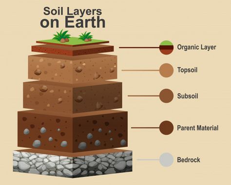 6th Grade Science, Soil Worksheet, Layers Of Soil, Earth Science Lessons, Earth Layers, Soil Texture, Rock Cycle, Earth Images, Agriculture Education