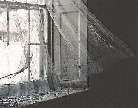 the last of us Shattered Dreams, The Creeper, Between Two Worlds, Southern Gothic, Gothic Aesthetic, Open Window, Sheer Curtains, Narnia, Window Sill