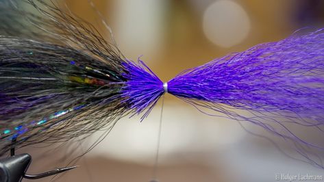 Pike Flies, Fly Fishing Flies Pattern, Fly Fishing Rods, Fly Tying Patterns, Picture Story, Black And Purple, Fly Tying, Fly Fishing, Bass