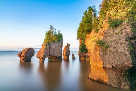 The Natural Wonders and Parks Every Tourist Must Visit in Canada Hopewell Rocks, Gros Morne National Park, Nature Landscape Photography, Camp Mugs, Canadian Landscape, Haida Gwaii, Temperate Rainforest, Nature Pics, Canadian Art