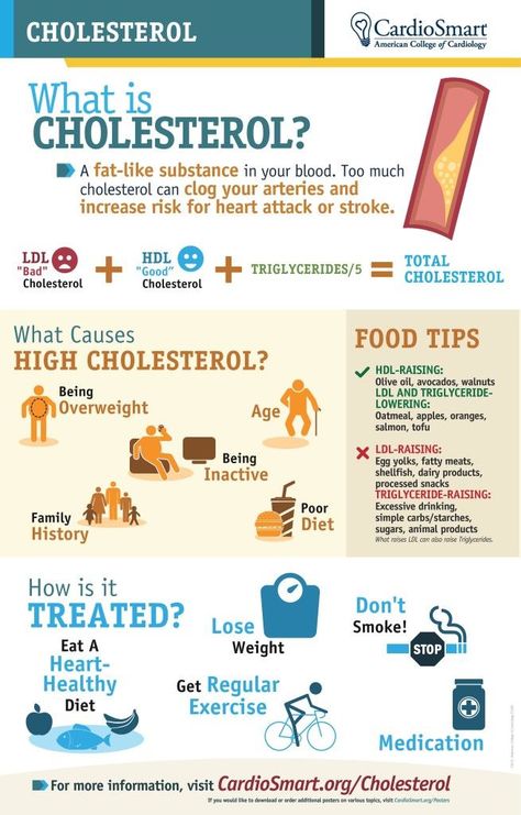 Colestrol Diet Lower Cholesterol, Infographic Posters, Low Cholesterol Diet Plan, Hdl Ldl, What Is Cholesterol, Cholesterol Foods, Low Cholesterol Diet, Cholesterol Diet, Low Cholesterol