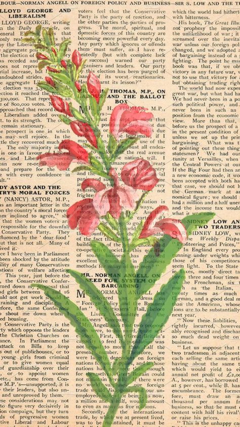 floral newspaper Flower Newspaper, Pink Newspaper, Sketchbook Nature, Pretty Posters, Desktop Wallpaper Fall, Art Final, Wallpaper Fall, Gcse Art Sketchbook, Gcse Art