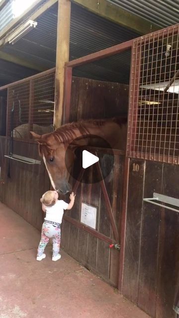 Pubity on Instagram: "Follow us @pubity for more content like this ❤️ The way they all lower their heads 🥹 (🎥 Annabelle Carter via Viralhog) - #horse #horses #horsesofinstagram #horseoftheday #cute #adorable #pubity" Cow Videos For Kids, Funny Horses Videos, Horse Funny, Funny Horse Videos, Funny Horse Pictures, Horse Cartoon, Baby Horse, Cow Photos, Fun Animals