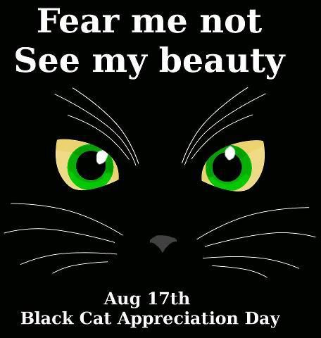 Happy Black Cat Appreciation Day! Every year on August 17th we take more time to raise awareness of the plight of the black cat. So many fur babies go unadopted because people think they are bad luck! Isn't that silly? So they end up euthanised because they can't find a forever home... Please consider adopting a black cat. You'll make a new friend, and have free massages (^_^) Happy Black Cat, Frog Bag, Black Cat Appreciation Day, Black And White Tuxedo, Happy Black, Tuxedo Cat, The Fear, The Frog, Buy A Cat