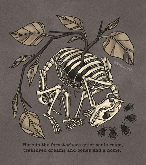 Culture Aesthetic Art, Vulture Culture Aesthetic, Dark Naturalism Aesthetic, Bone Drawing, Animal Skeleton, Culture Aesthetic, Nature Poem, Goblincore Aesthetic, Bone Tattoos