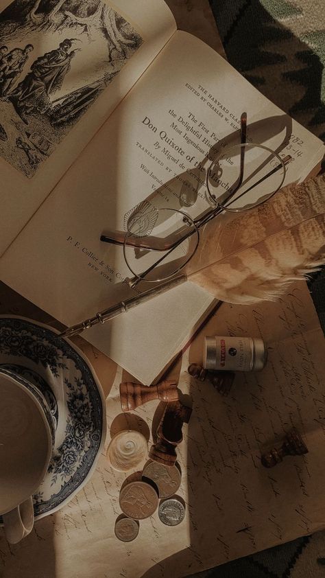 White Raven, Dark Acadamia, Cogito Ergo Sum, Dead Poets Society, Girly Photography, Vintage Books, Galaxy Wallpaper, Dark Academia, Dark Aesthetic