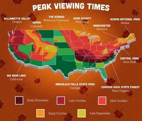 Fall foliage map for the continental U.S. Amicalola Falls, Leaf Peeping, We Are The World, On The Road Again, Best Seasons, To Infinity And Beyond, Fall Foliage, Fall Fun, Fall Thanksgiving