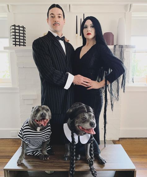 Halloween Costumes Addams Family, Family Dog Costumes, Dog Costumes Homemade, Halloween Costume Winners, Halloween Parejas, Addams Family Costumes, Pitbull Pictures, Halloween Costume Idea, Last Halloween