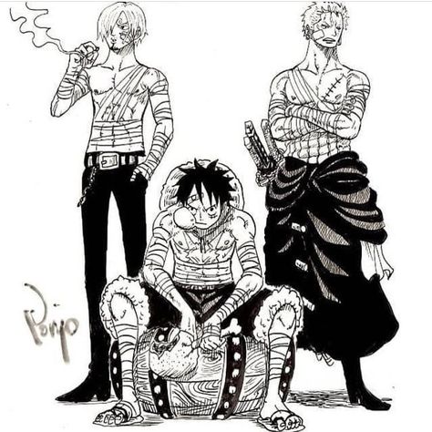 Trio of Monsters  Credit to Ponjo One Piece Tattoos, Arte Sailor Moon, One Piece Ace, Zoro One Piece, One Piece Drawing, One Piece Images, One Piece Comic, One Piece Pictures, One Piece Fanart