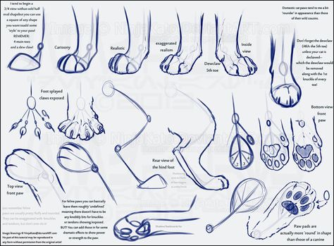 How I draw paws (feline) by *NinjaKato on deviantART Cat Paw Drawing, Paw Drawing, Cat Drawing Tutorial, Cat Anatomy, Anatomy Drawing, Cat Eyes, Warrior Cat, Animal Sketches, Drawing Tutorials