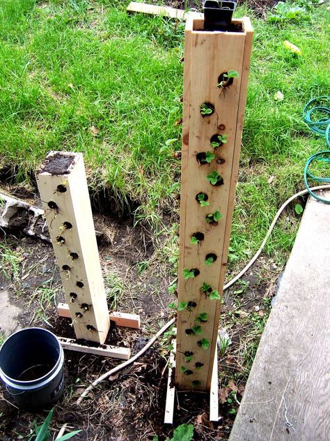 strawberry tower Strawberry Tower, Garden Vertical, Strawberry Planters, Vertical Herb Garden, Strawberry Garden, Tower Garden, Growing Strawberries, Strawberry Plants, Veggie Garden