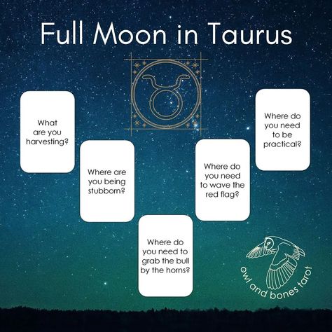 Full Moon Tarot Spread, Full Moon Taurus, Moon Taurus, Full Moon In Taurus, Full Moon Tarot, Moon In Taurus, Tarot Reading Spreads, Taurus Moon, Full Moon Ritual