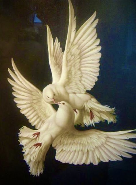 Doves. Rennaissance Art, White Doves, Mesopotamia, Classical Art, Aphrodite, Bird Art, 그림 그리기, Beautiful Birds, Classic Art